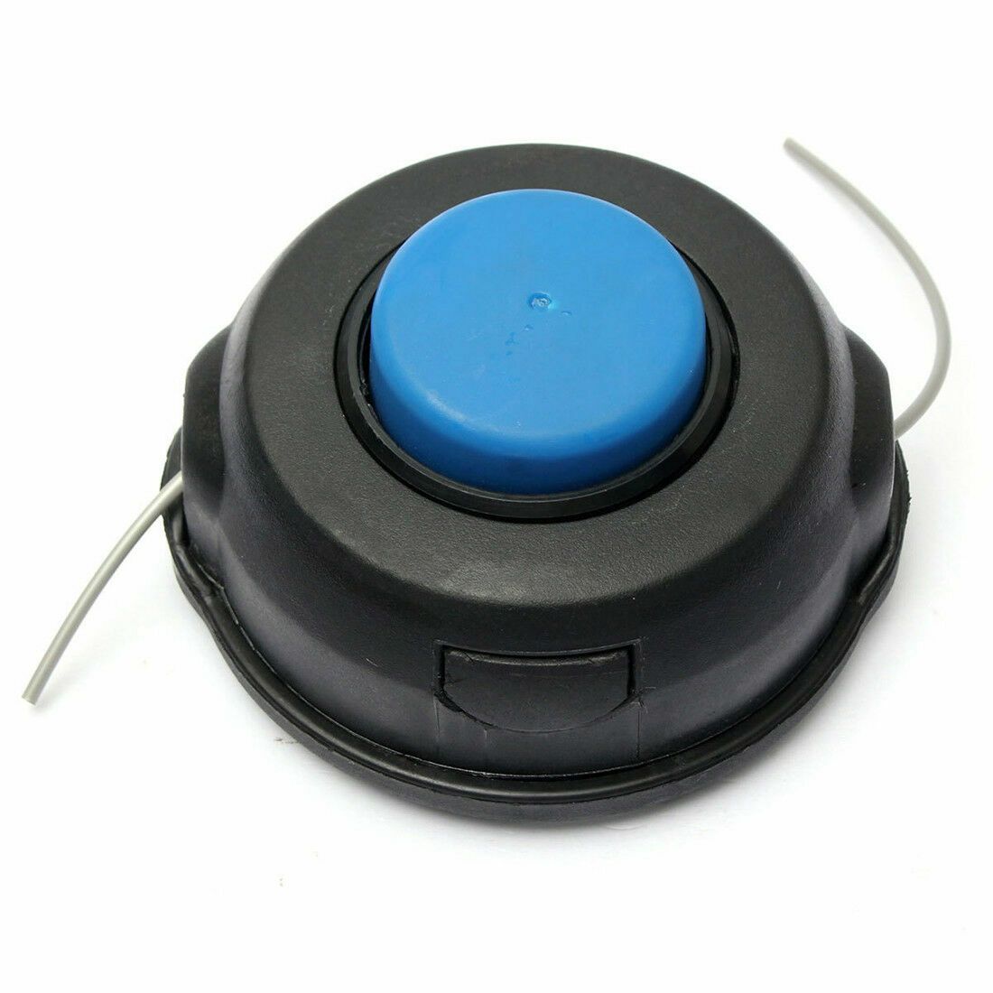 Vista 3